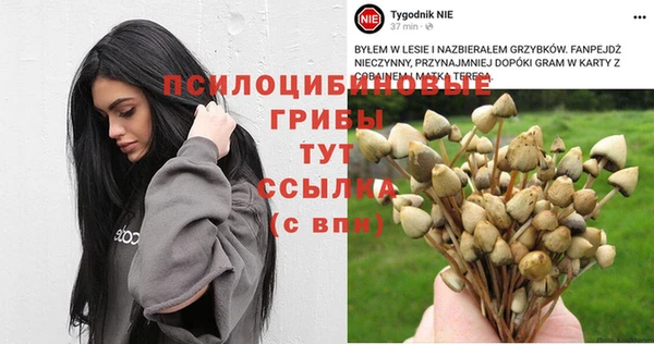 кокс Алексеевка